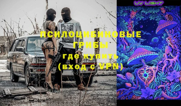 spice Алзамай