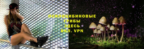 крисы Абаза
