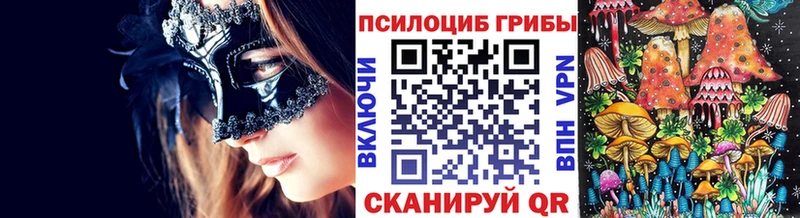 ссылка на мегу ТОР  Сухой Лог  Псилоцибиновые грибы Psilocybine cubensis  наркошоп 
